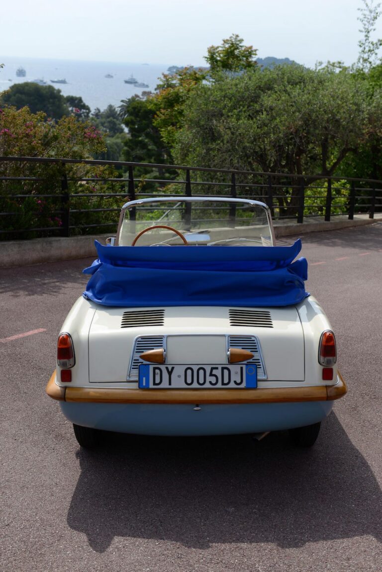 Savio Spider Elegance DY-005DJ, Heckansicht mit Kennzeichen und blauem Verdeck