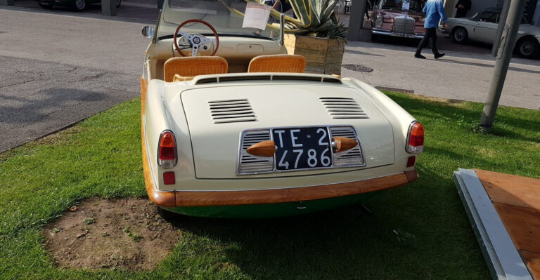 Savio Spider Elegance TE-24786, Heckansicht mit Kennzeichen