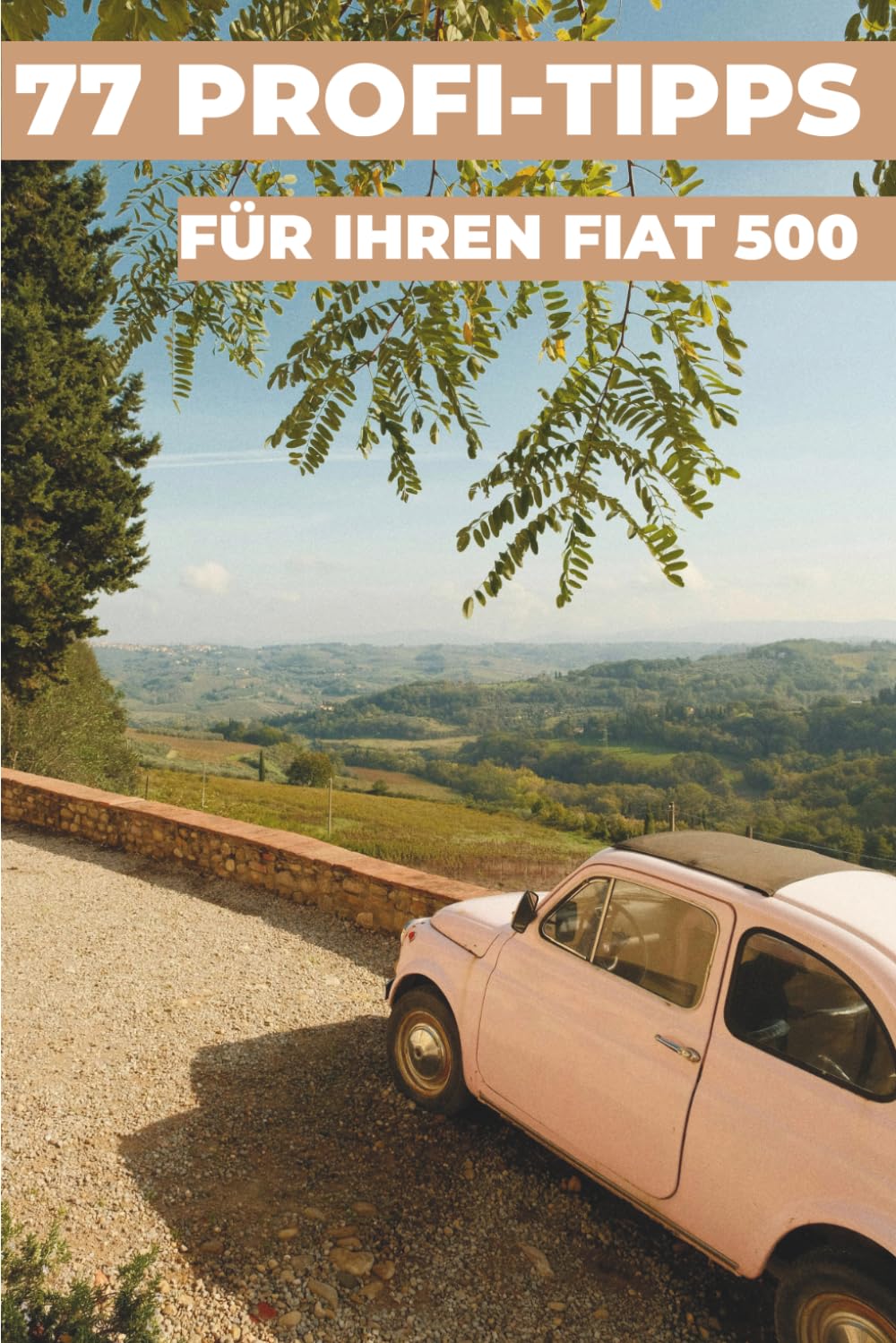 77 Profi-Tipps für Ihren Fiat 500 – Vorderseite